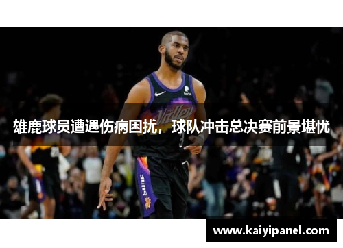 雄鹿球员遭遇伤病困扰，球队冲击总决赛前景堪忧