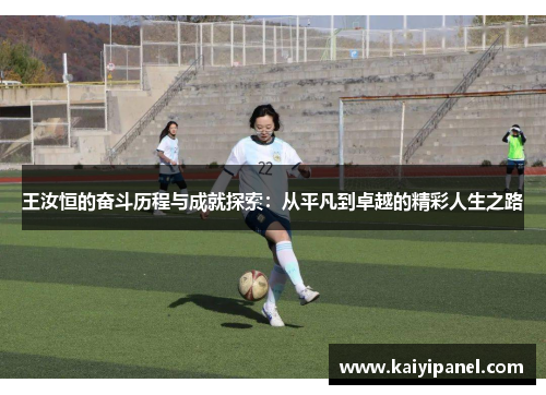 王汝恒的奋斗历程与成就探索：从平凡到卓越的精彩人生之路