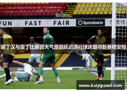 诺丁汉与雷丁比赛因天气原因延迟进行球迷期待新赛程安排