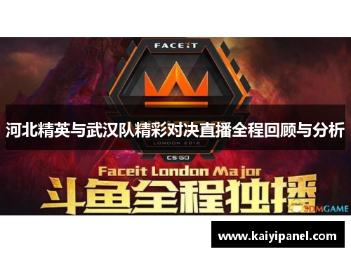 河北精英与武汉队精彩对决直播全程回顾与分析