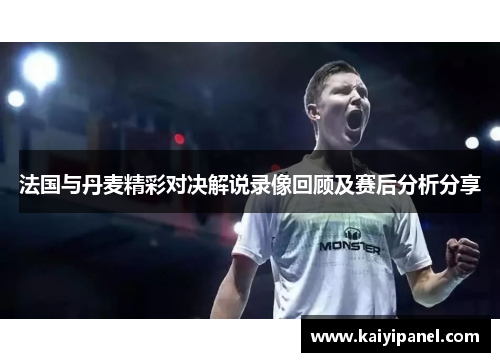法国与丹麦精彩对决解说录像回顾及赛后分析分享